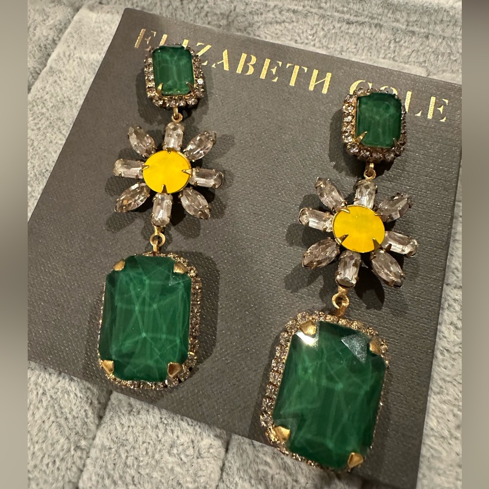 Elizabeth Cole Earrings